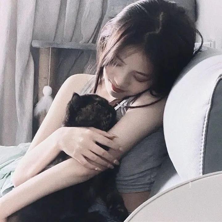 莫丽的朝圣